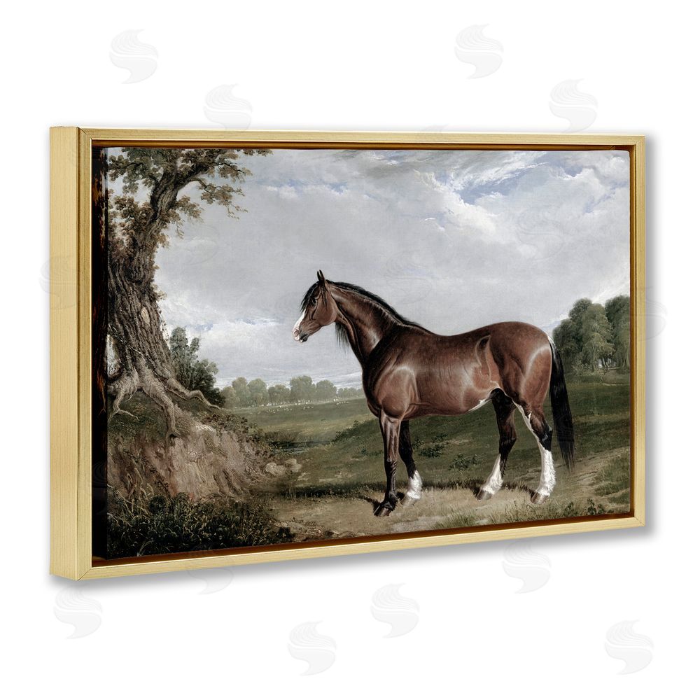 Corinne Haig Majestic Equine Nature Portrait Gold Floating Frame Canvas Art Print