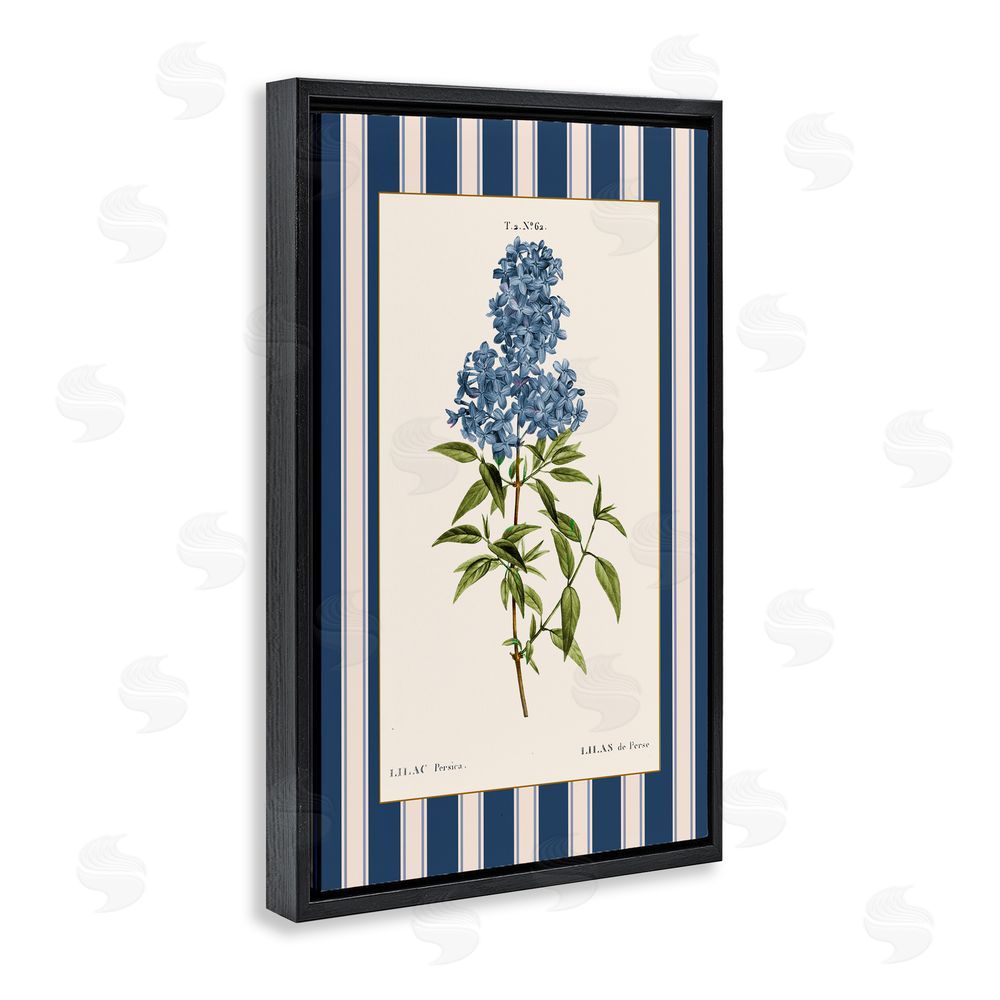 Corinne Haig Lilac Study Over Stripes Black Floating Frame Canvas Wall Art Print