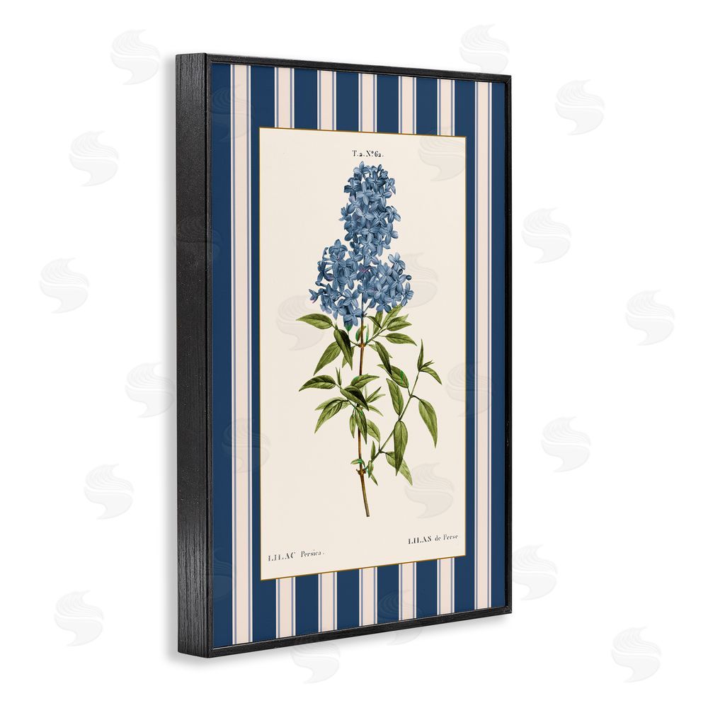 Corinne Haig Lilac Study Over Stripes Black Framed Giclee Art Print
