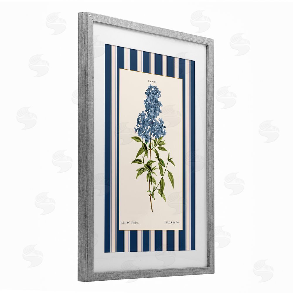 Corinne Haig Lilac Study Over Stripes Gray Framed Print Under Glass Art