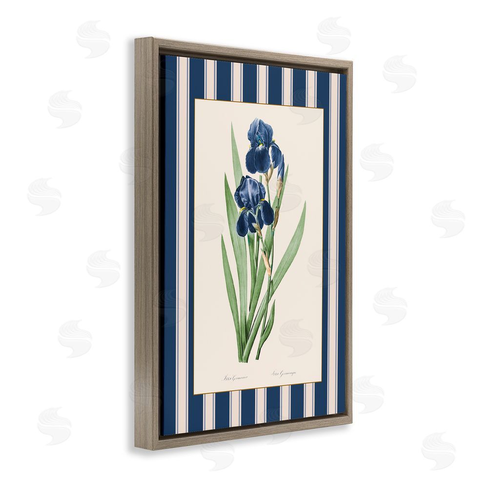 Corinne Haig Iris Study over Stripes Brown Floating Frame Canvas Art Print