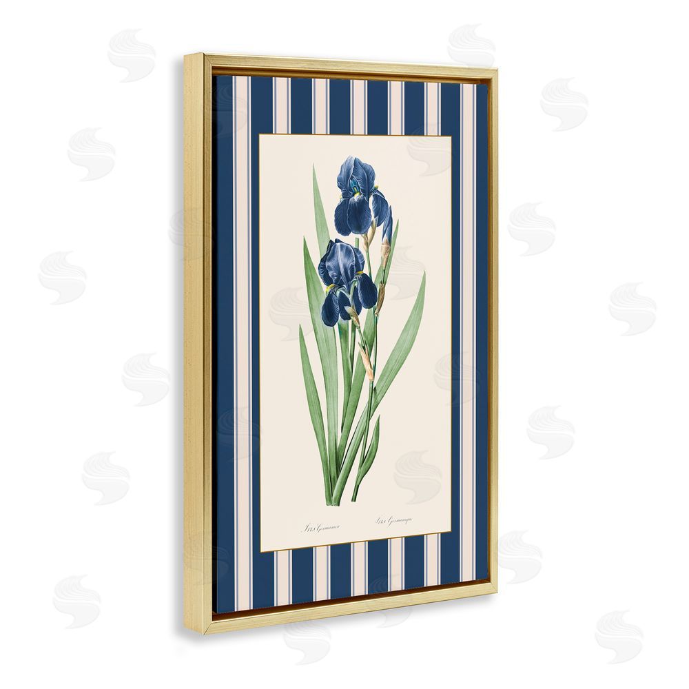 Corinne Haig Iris Study over Stripes Gold Floating Frame Canvas Art Print