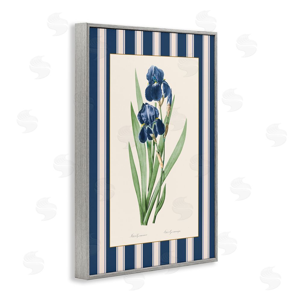 Corinne Haig Iris Study over Stripes Gray Framed Giclee Art Print