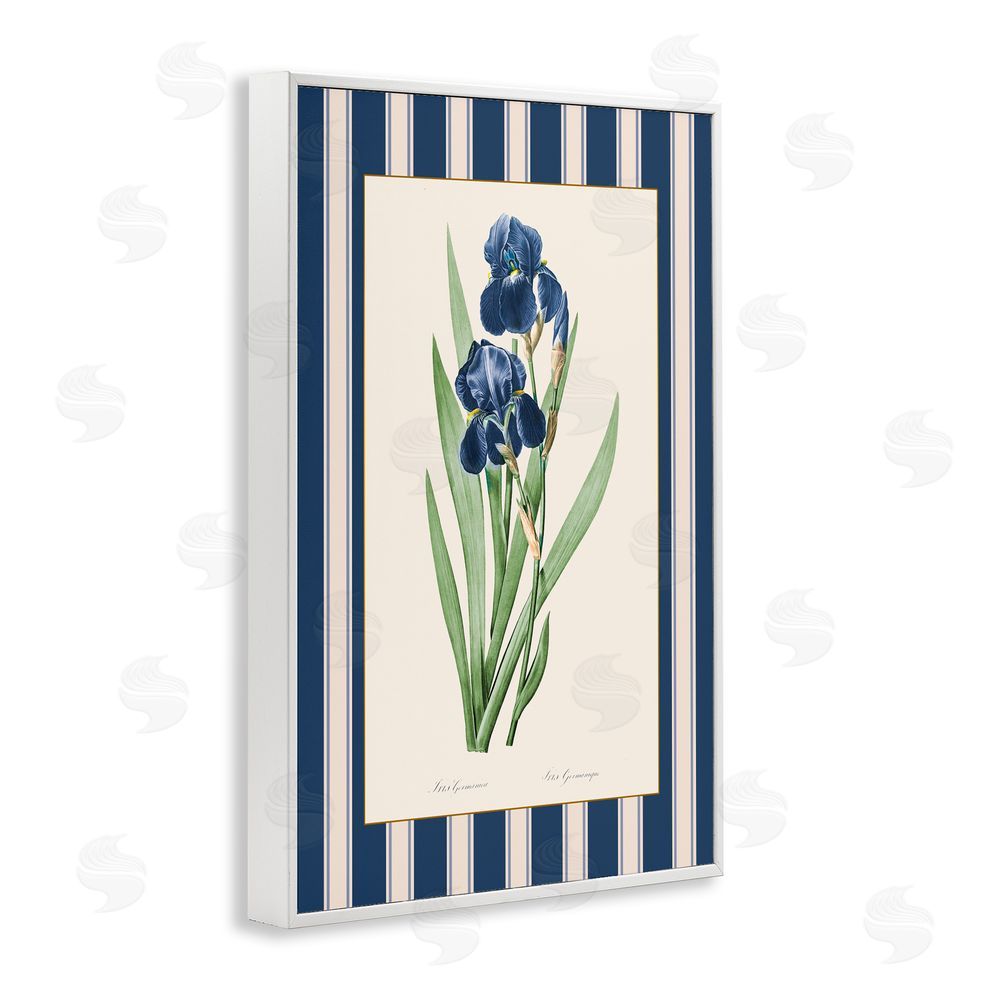 Corinne Haig Iris Study over Stripes White Frame Giclee Art Print