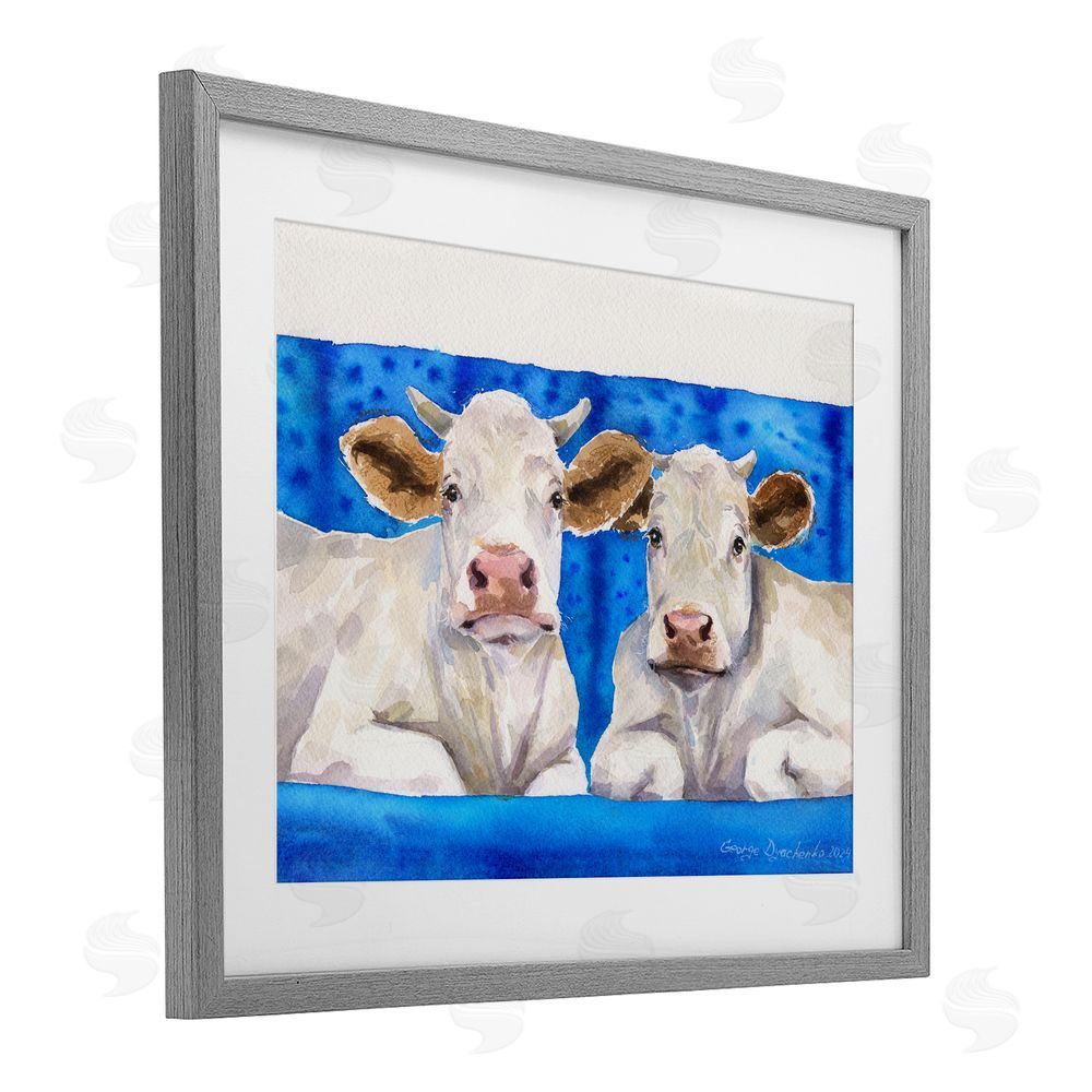 George Dyachenko Two White Cows on Blue Gray Framed Print Under Glass with White Mat Wall Art