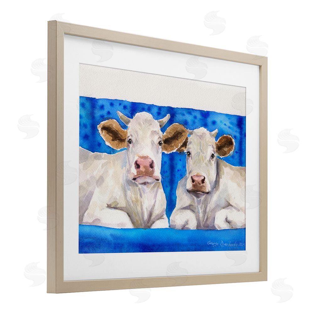 George Dyachenko Two White Cows on Blue Birch Framed Print Under Glass with White Mat Wall Art