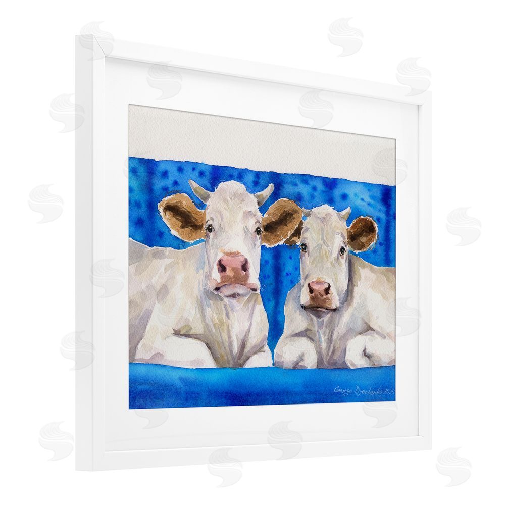 George Dyachenko Two White Cows on Blue White Framed Print Under Glass with Mat Wall Art