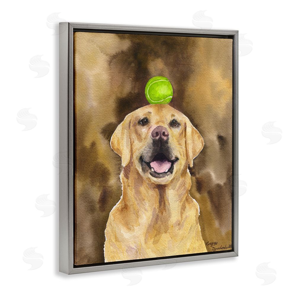 George Dyachenko Golden Retriever with Tennis ball Gray Floating Frame Canvas Wall Art Print