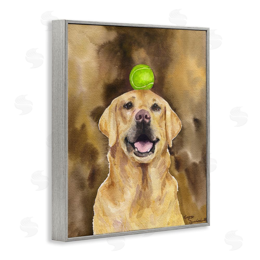 George Dyachenko Golden Retriever with Tennis ball Gray Framed Giclee Wall Art Print