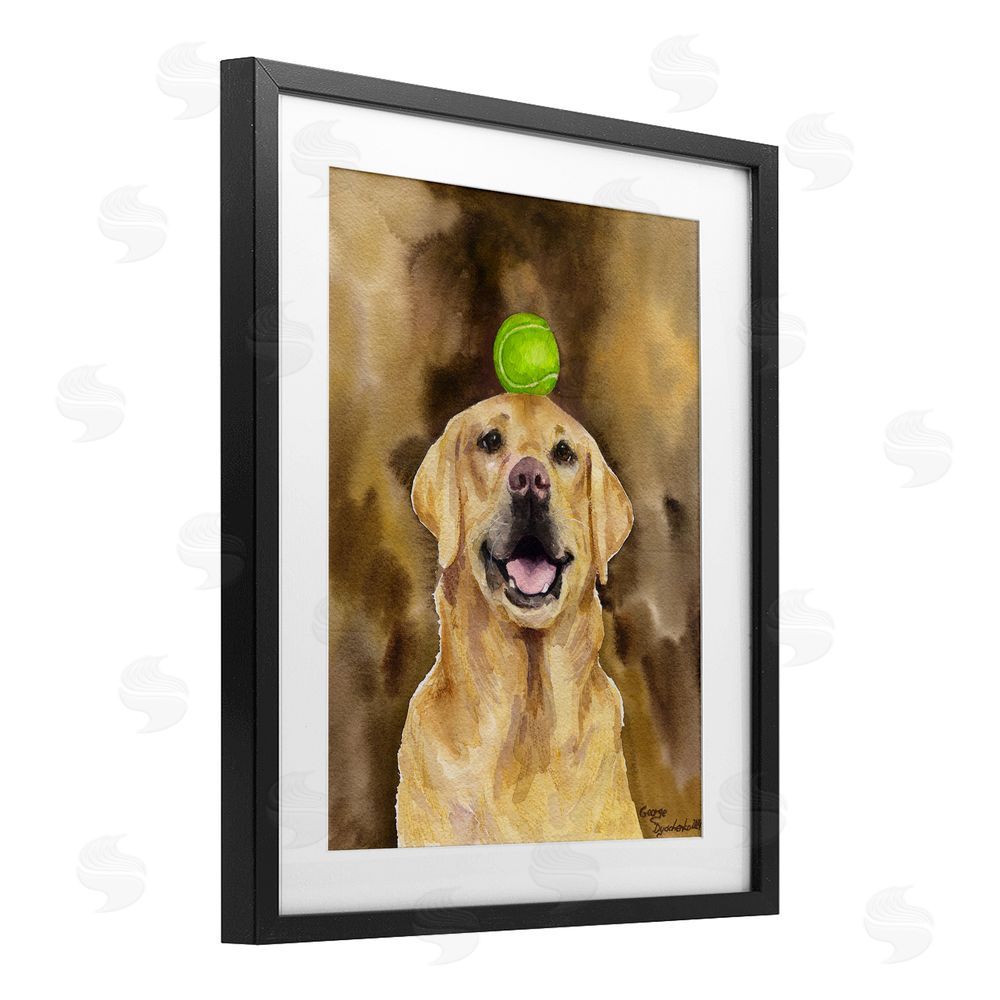 George Dyachenko Golden Retriever with Tennis ball Black Framed Print Under Glass with White Mat Wall Art