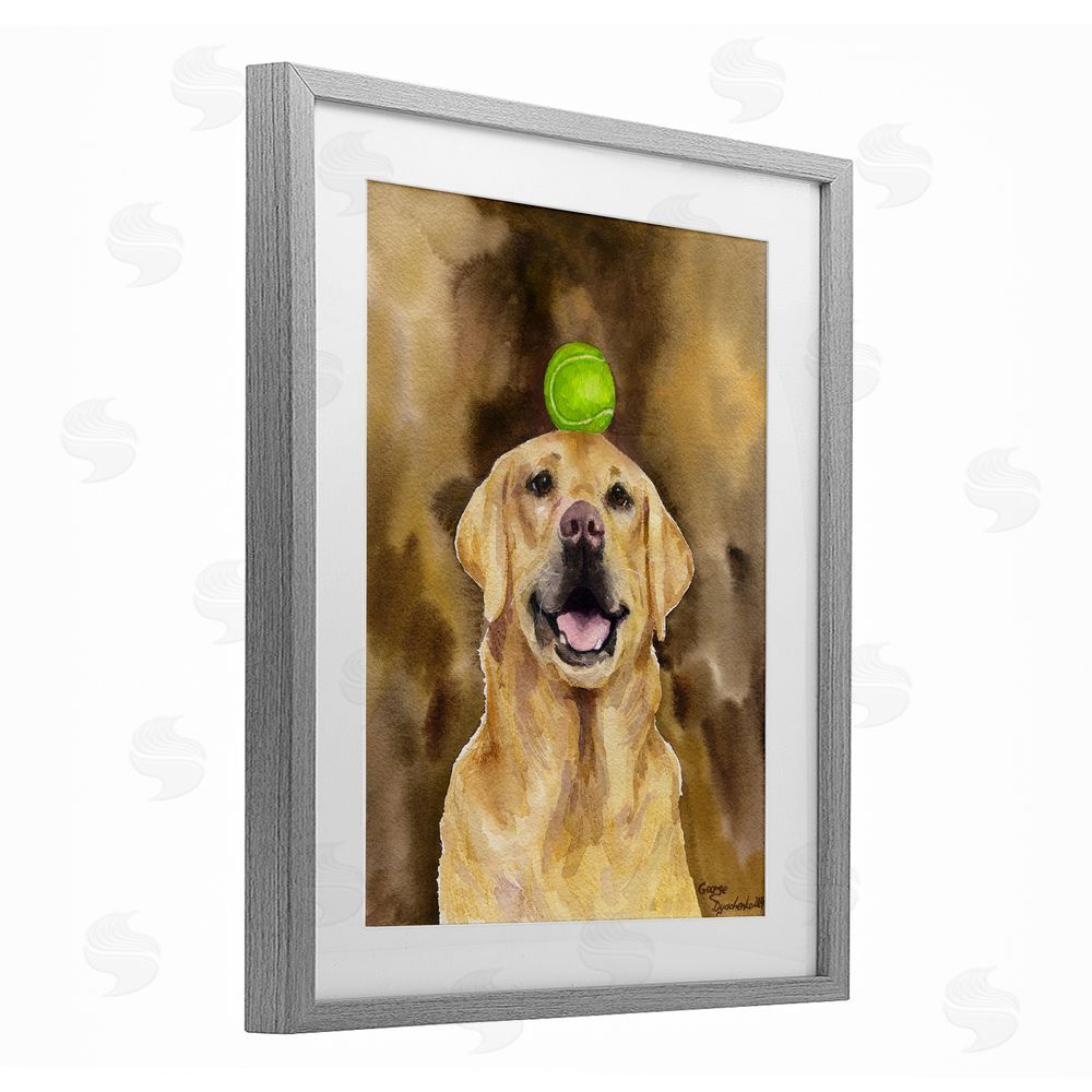 George Dyachenko Golden Retriever with Tennis ball Gray Framed Print Under Glass with White Mat Wall Art