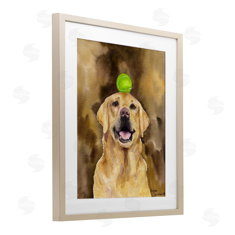 George Dyachenko Golden Retriever with Tennis ball Birch Framed Print Under Glass with White Mat Wall Art