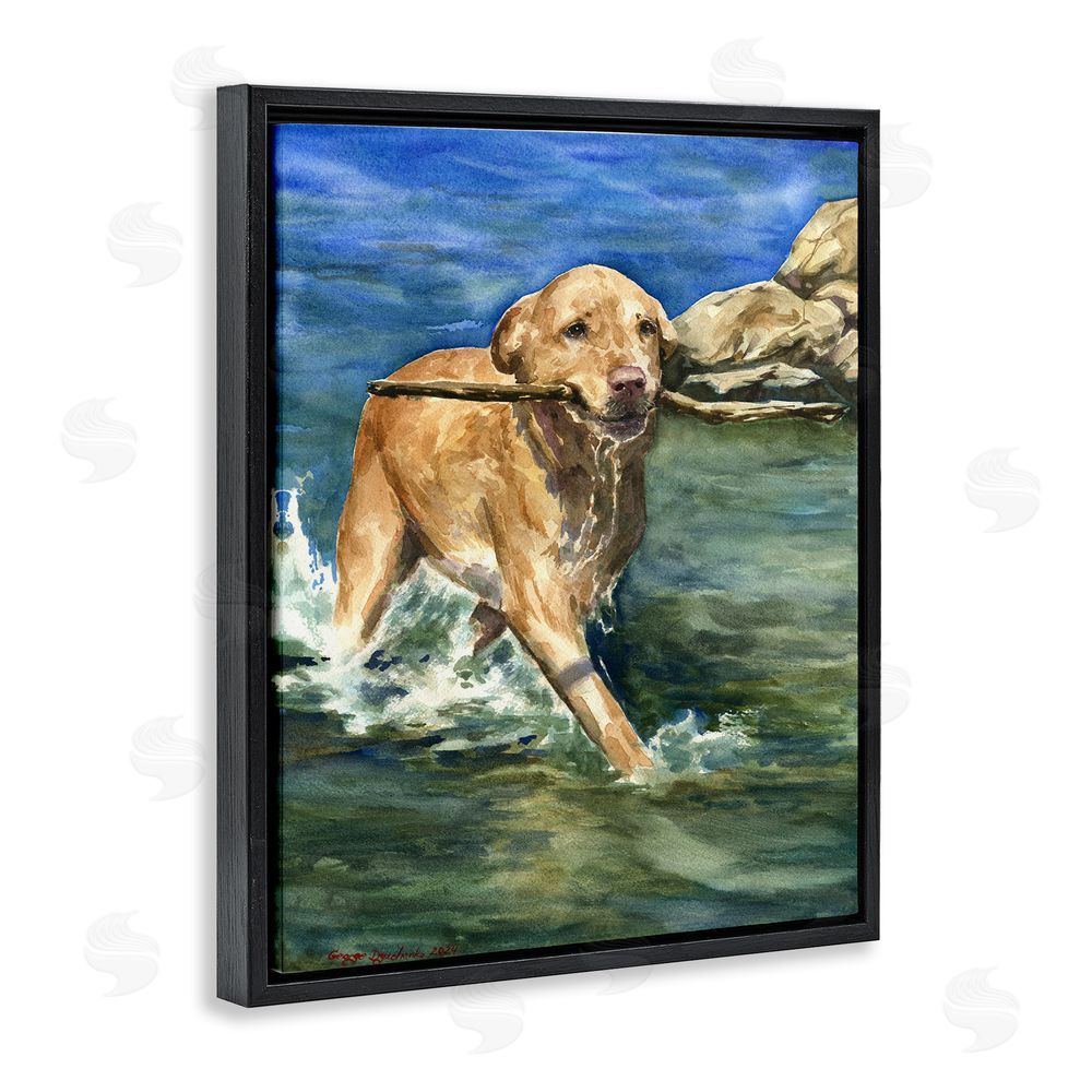 George Dyachenko Happy Labrador with Stick Black Floating Frame Canvas Wall Art Print