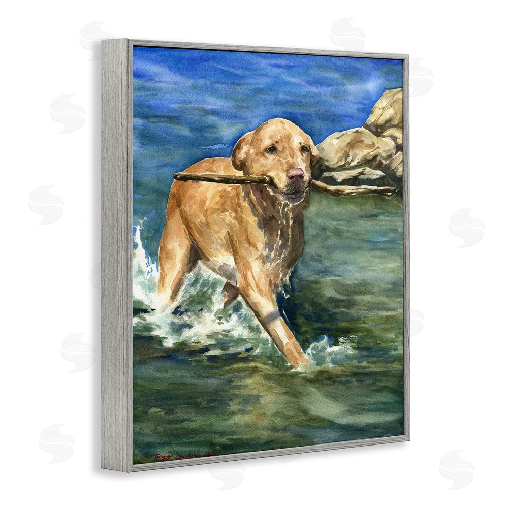 George Dyachenko Happy Labrador with Stick Gray Framed Giclee Wall Art Print