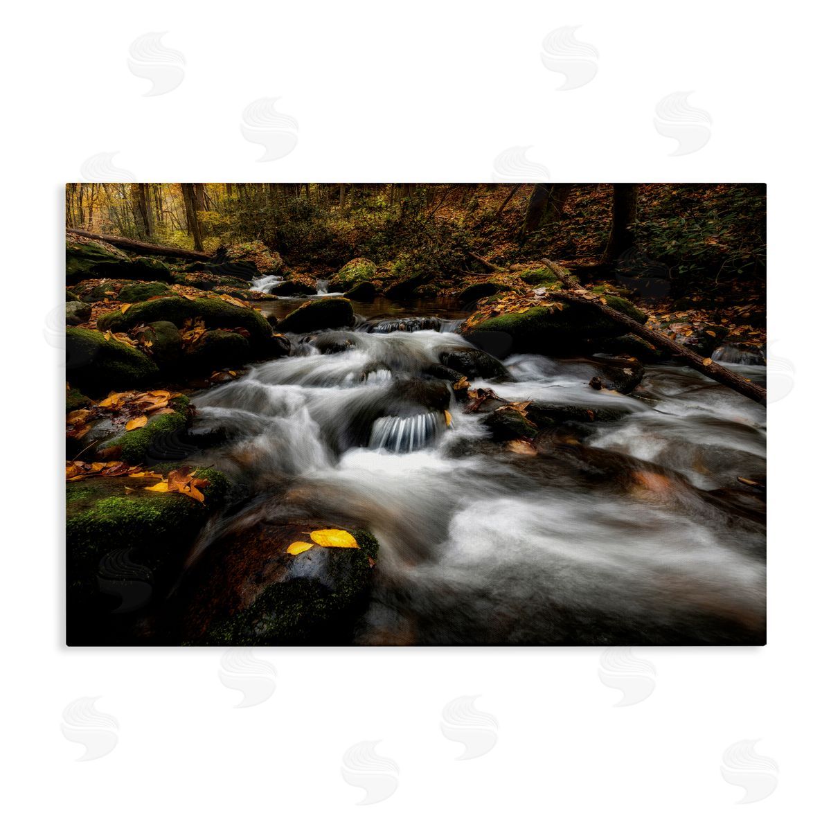 stupell industries D. Burt | Fallen Leaves on Stream