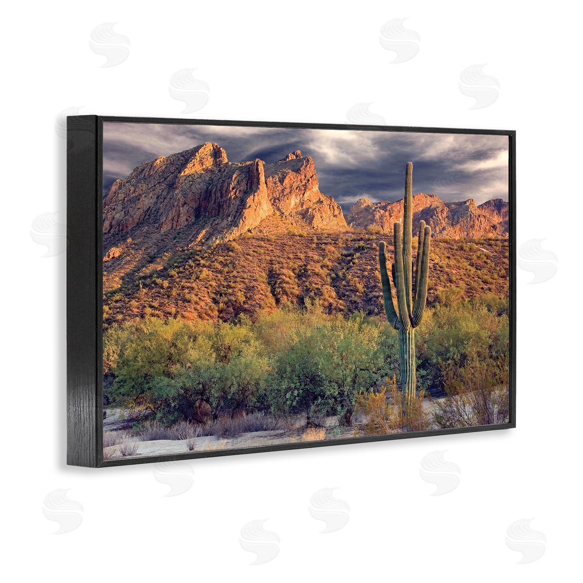 Mike Jones Tall And Strong Cactus View Canvas Wall Art Print