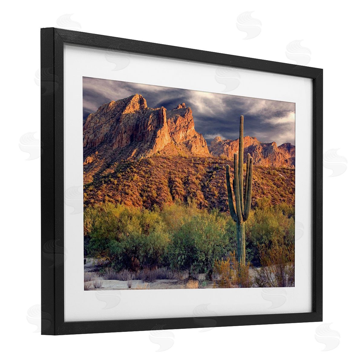 Mike Jones Tall And Strong Cactus View Canvas Wall Art Print