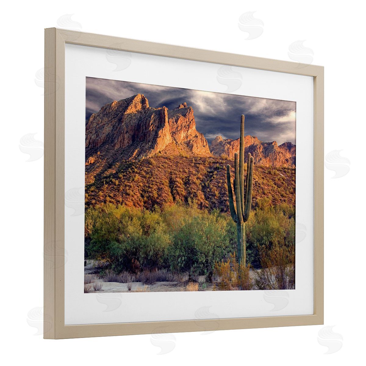 Mike Jones Tall And Strong Cactus View Canvas Wall Art Print