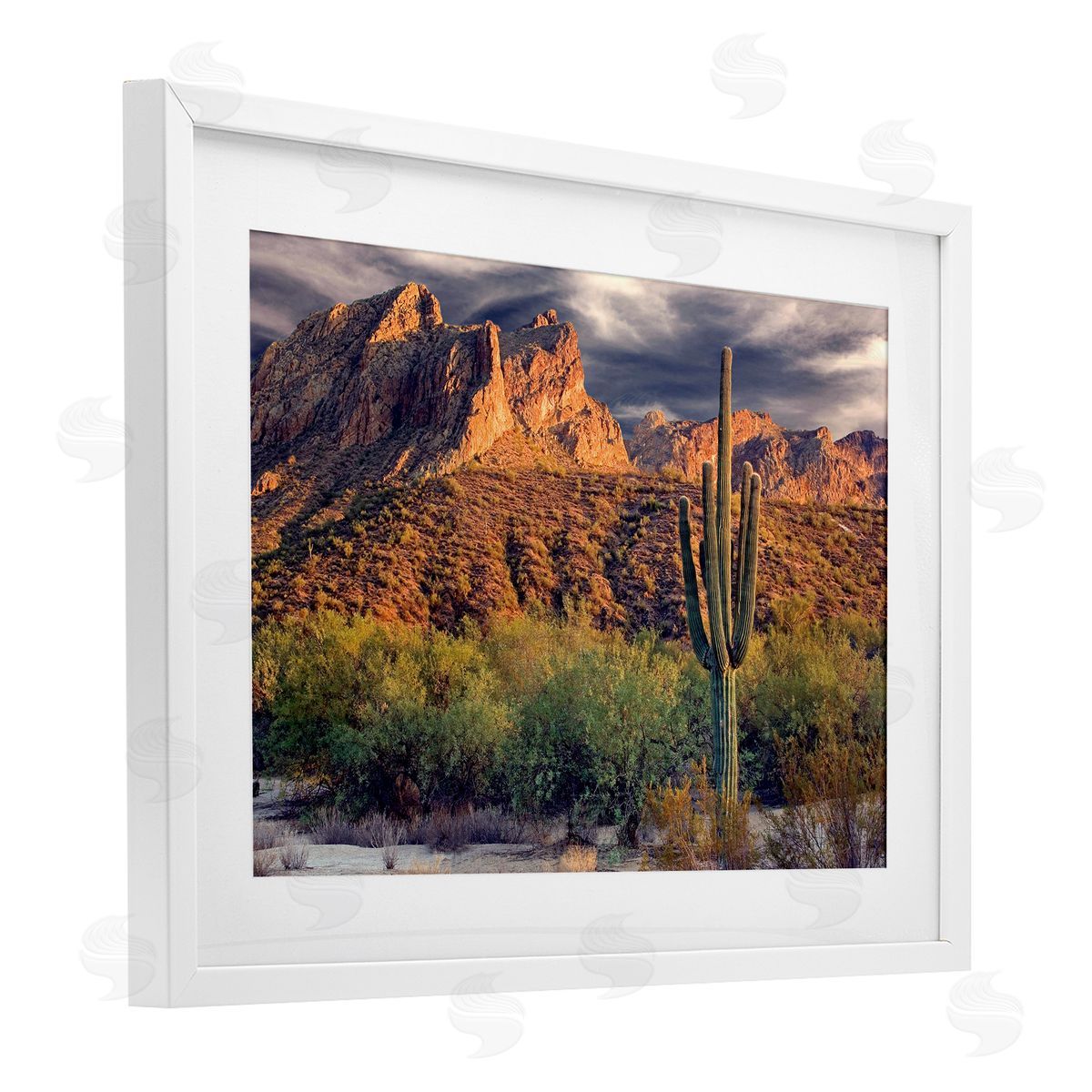 Mike Jones Tall And Strong Cactus View Canvas Wall Art Print