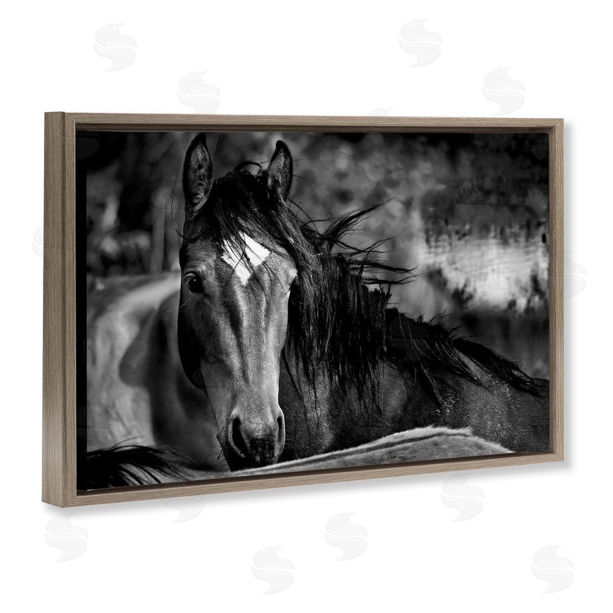Wendy Caro Watchful Presence Horse Canvas Wall Art Print