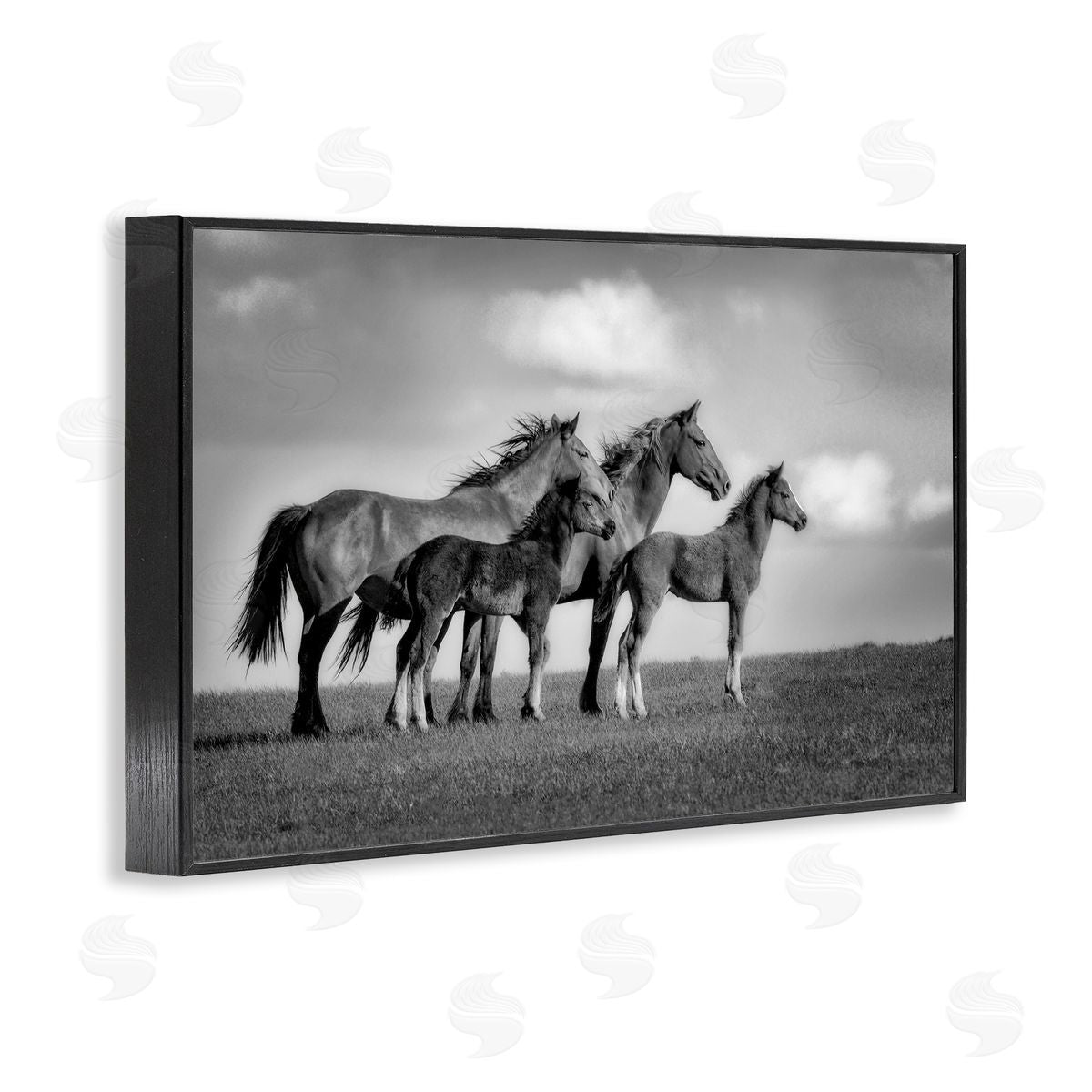 Wendy Caro Babies On Board Horse Family Canvas Wall Art Print