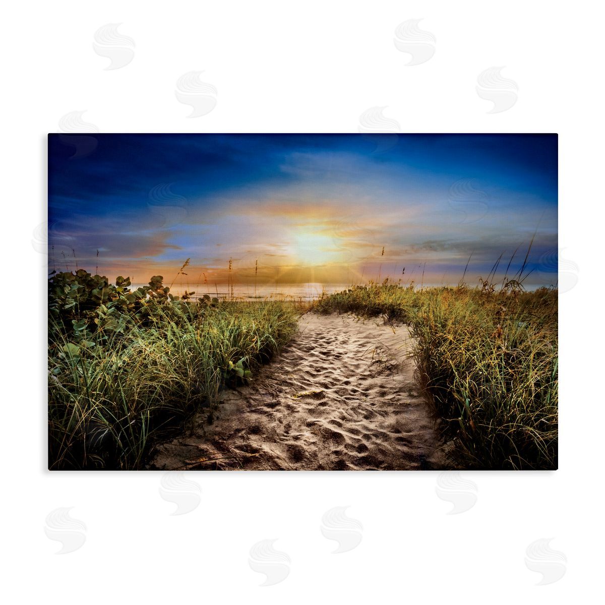 Celebrate Life Gallery Desert Trail In Sunrise Canvas Wall Art Print