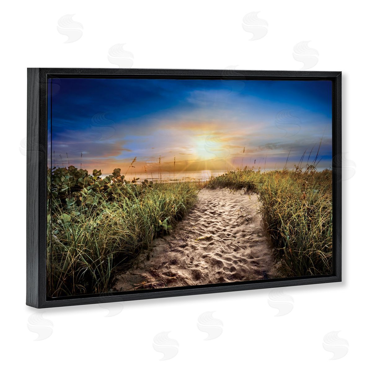Celebrate Life Gallery Desert Trail In Sunrise Canvas Wall Art Print