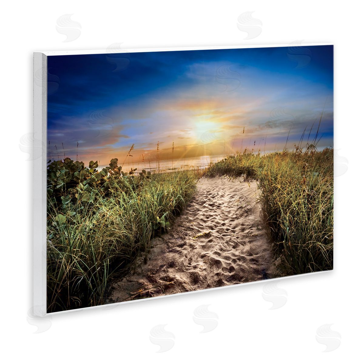 Celebrate Life Gallery Desert Trail In Sunrise Canvas Wall Art Print