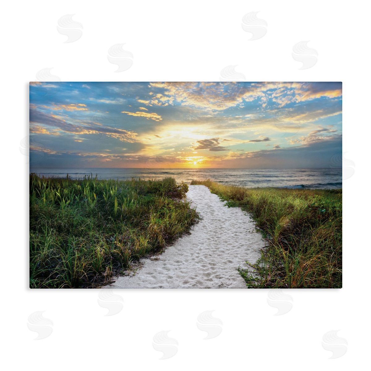 Celebrate Life Gallery Morning Trail To Beach Canvas Wall Art Print