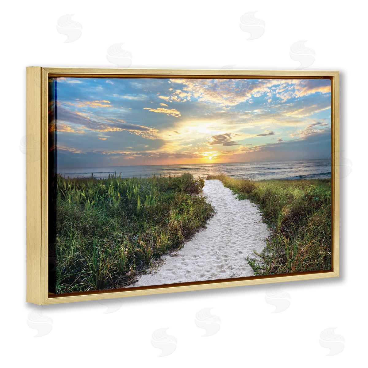 Celebrate Life Gallery Morning Trail To Beach Canvas Wall Art Print