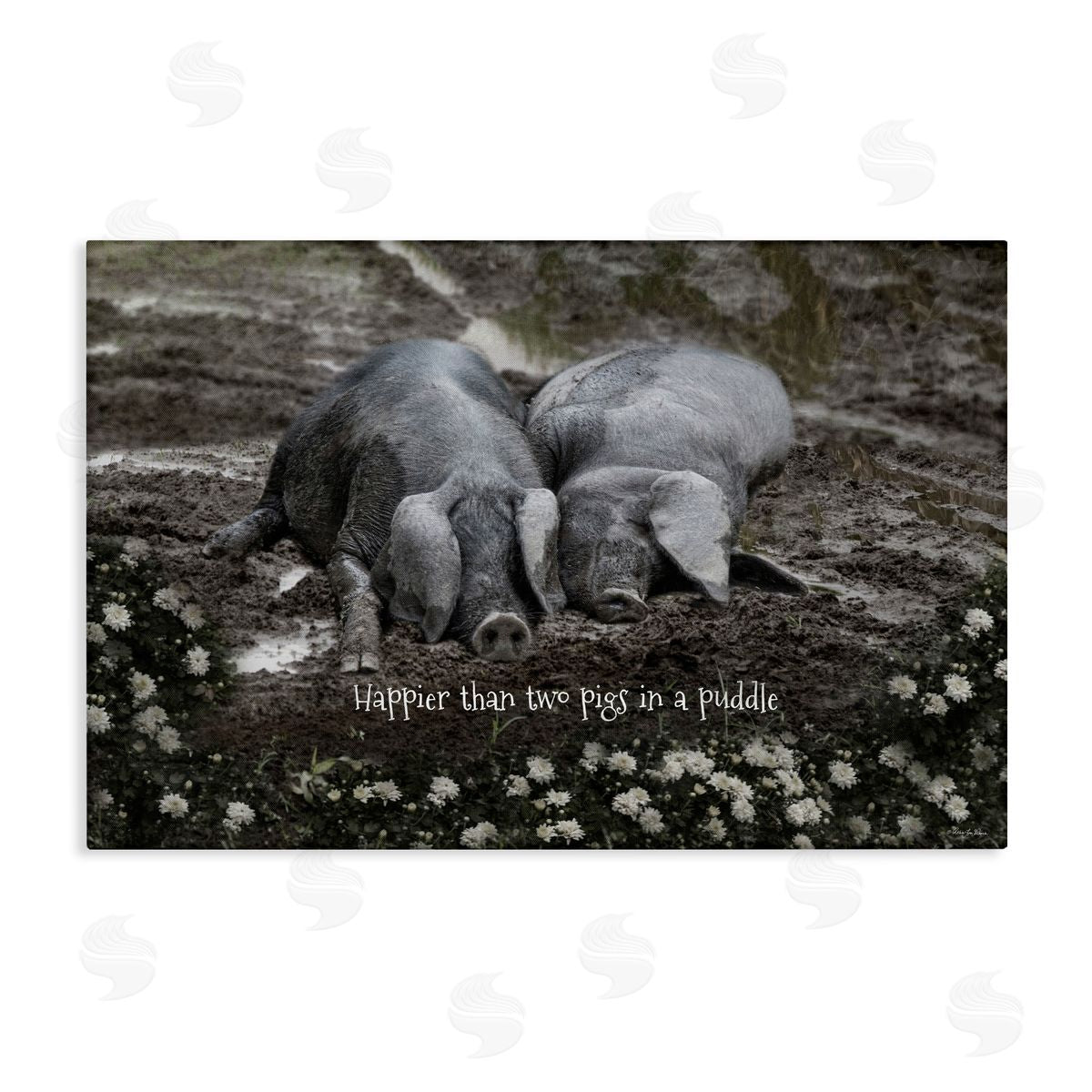 Robin-Lee Viera Happier Than Two Pigs In Puddle Canvas Wall Art Print