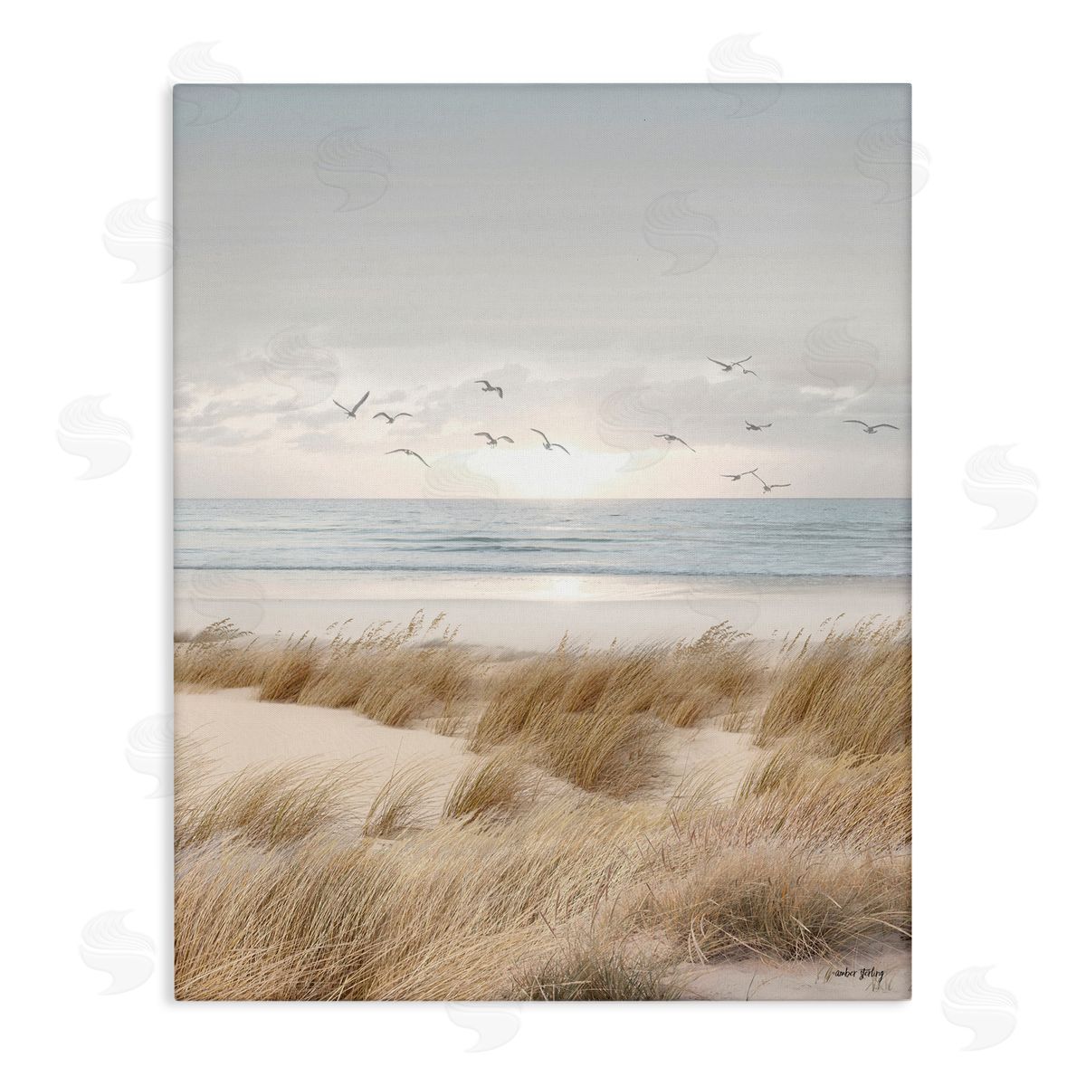 Amber Sterling Coastal Dreams Seagulls Canvas Wall Art Print