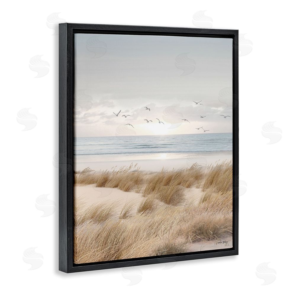 Amber Sterling Coastal Dreams Seagulls Black Floating Frame Canvas Wall Art Print