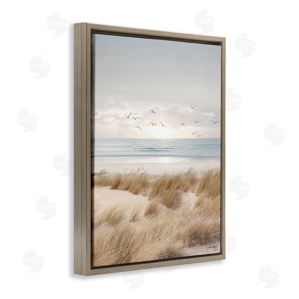 Amber Sterling Coastal Dreams Seagulls Brown Floating Frame Canvas Wall Art Print