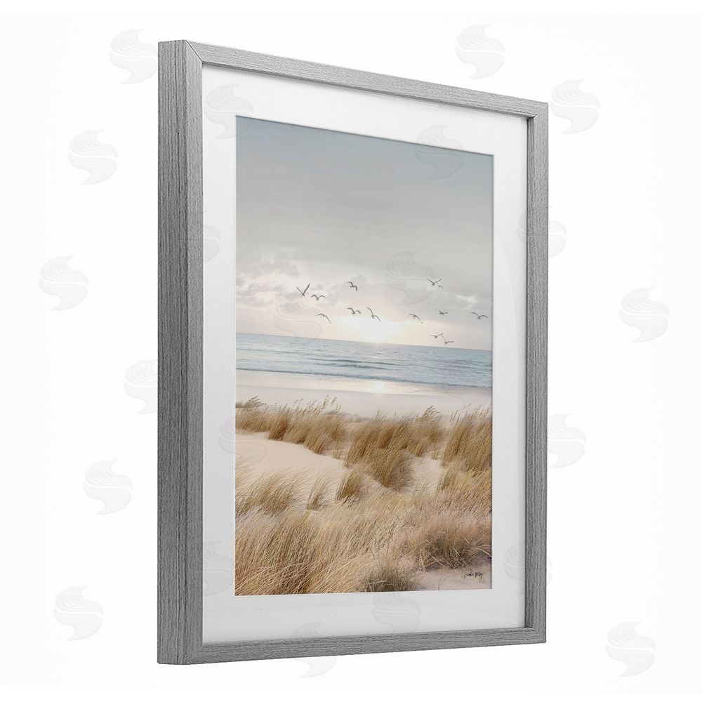 Amber Sterling Coastal Dreams Seagulls Gray Framed Print Under Glass with White Mat Wall Art