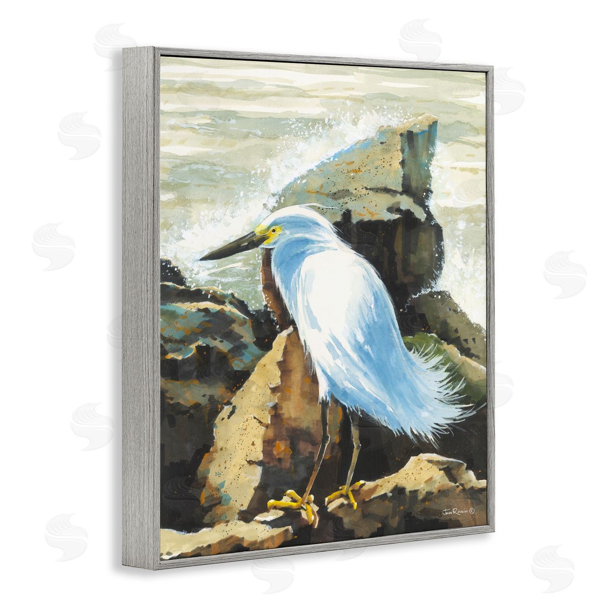 John Rossini Rocky Perch Coastal Cliff Bird Gray Framed Giclee Wall Art Print
