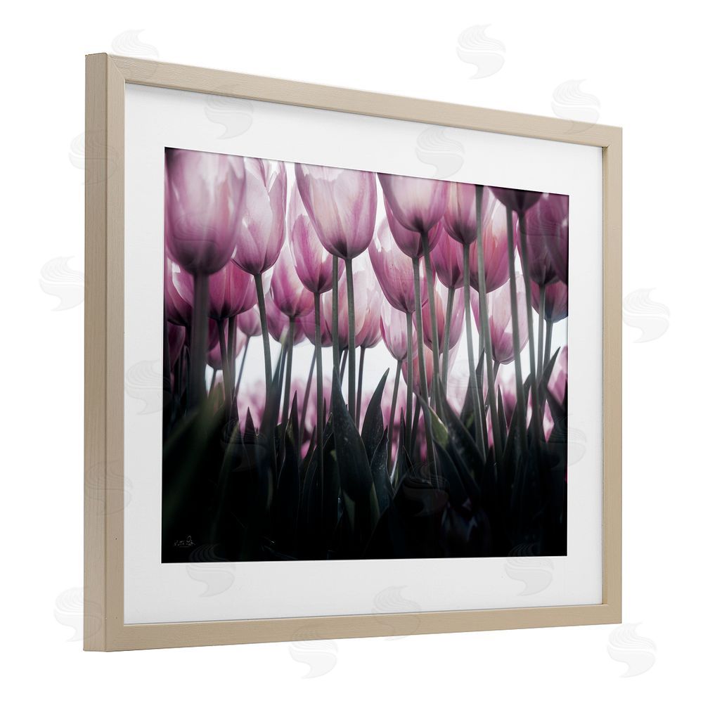 Martin Podt Uplifting Purple Tulip Field Birch Framed Print Under Glass with White Mat Wall Art