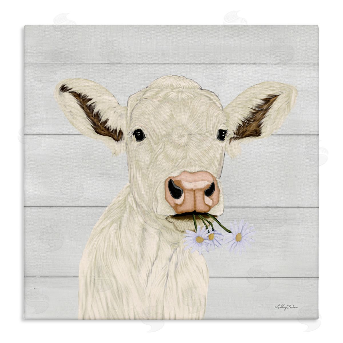 Ashley Justice Opal Baby Cow Portrait Canvas Wall Art Print