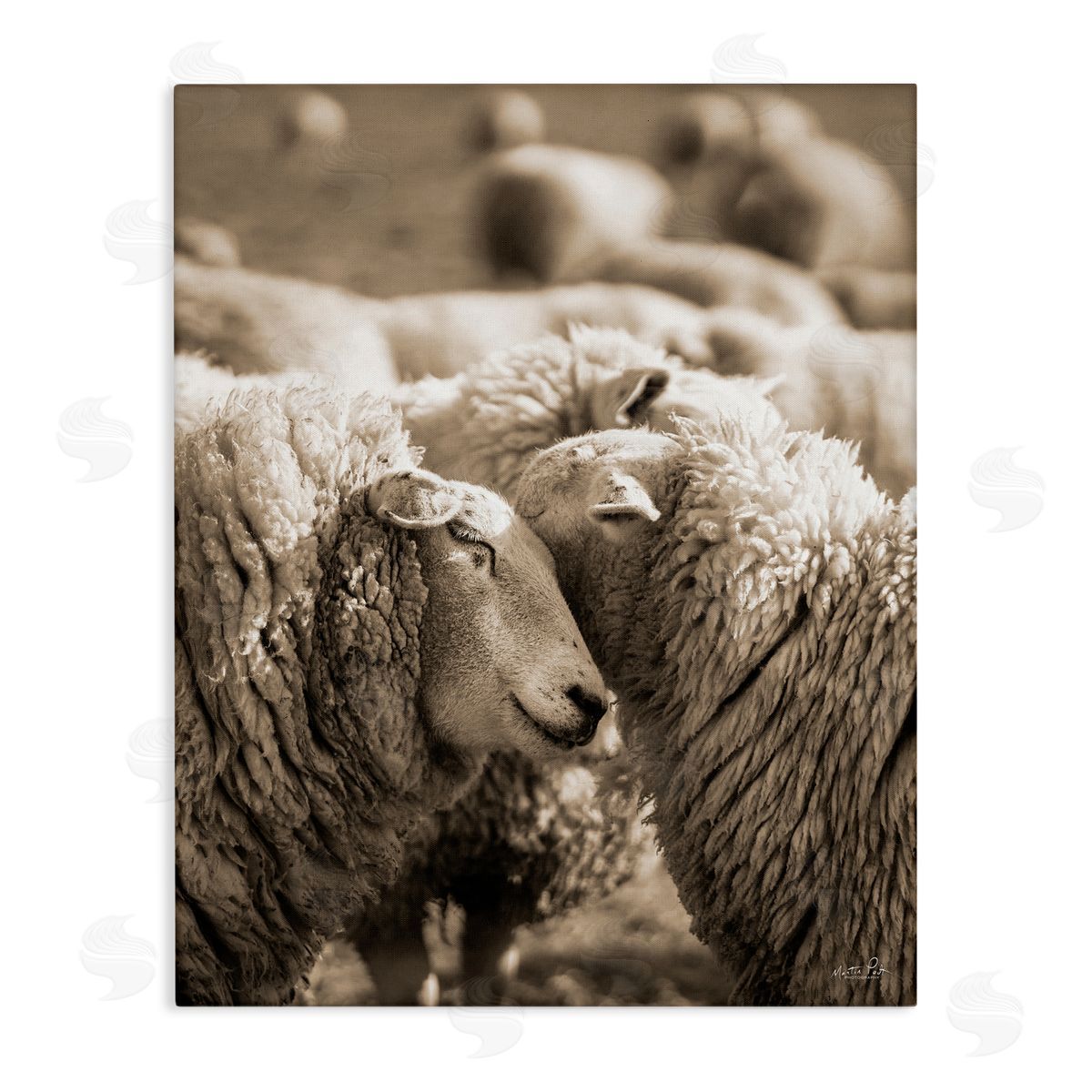 Martin Podt Hugging Sheep in Flock Canvas Wall Art Print