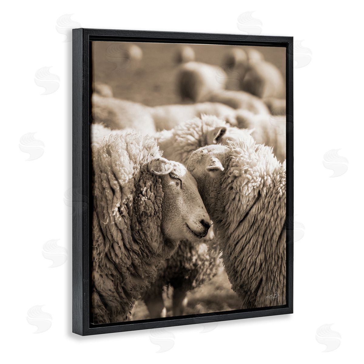 Martin Podt Hugging Sheep in Flock Black Floating Frame Canvas Wall Art Print