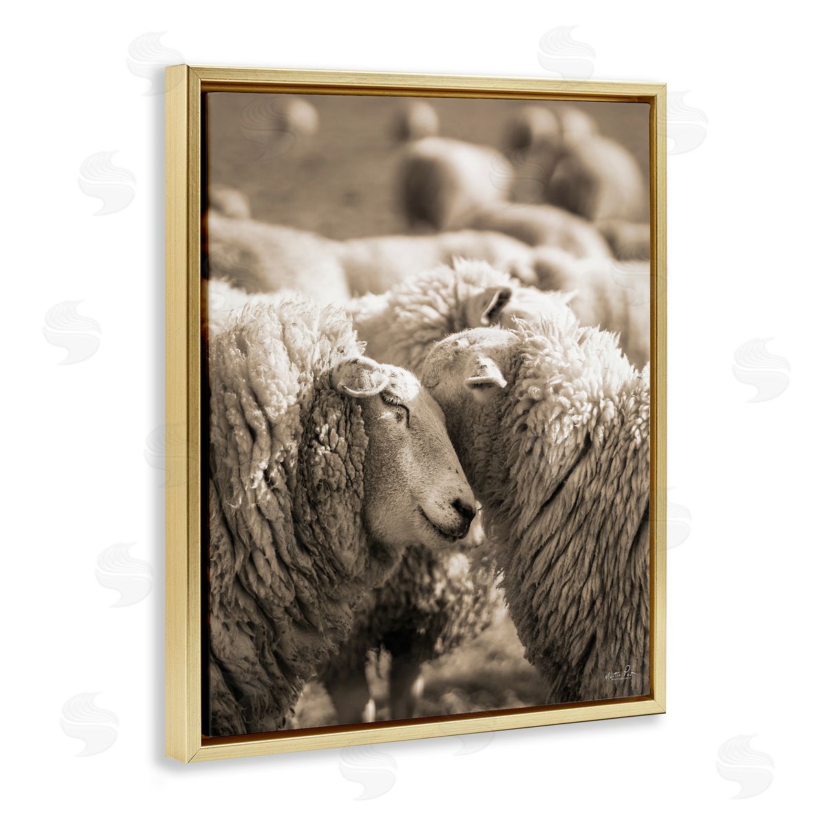Martin Podt Hugging Sheep in Flock Gold Floating Frame Canvas Wall Art Print