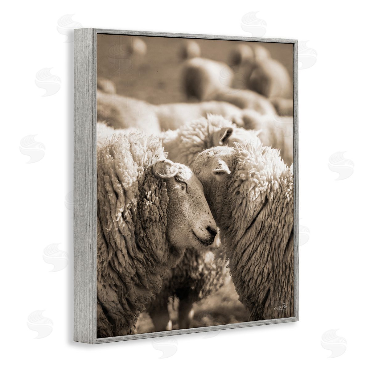 Martin Podt Hugging Sheep in Flock Gray Framed Giclee Wall Art Print