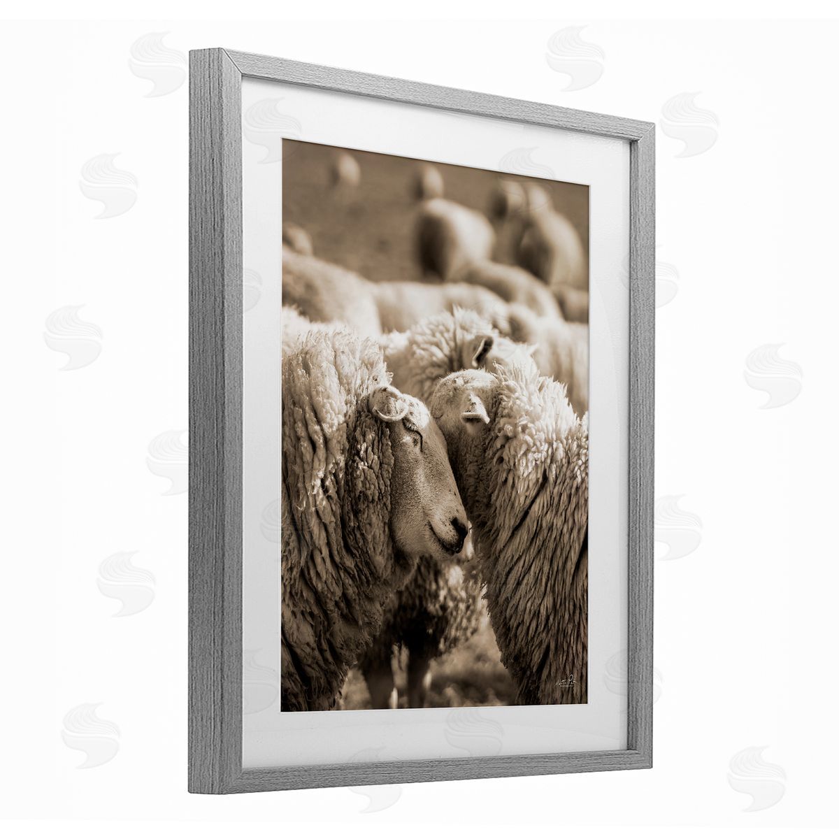 Martin Podt Hugging Sheep in Flock Gray Framed Print Under Glass with White Mat Wall Art