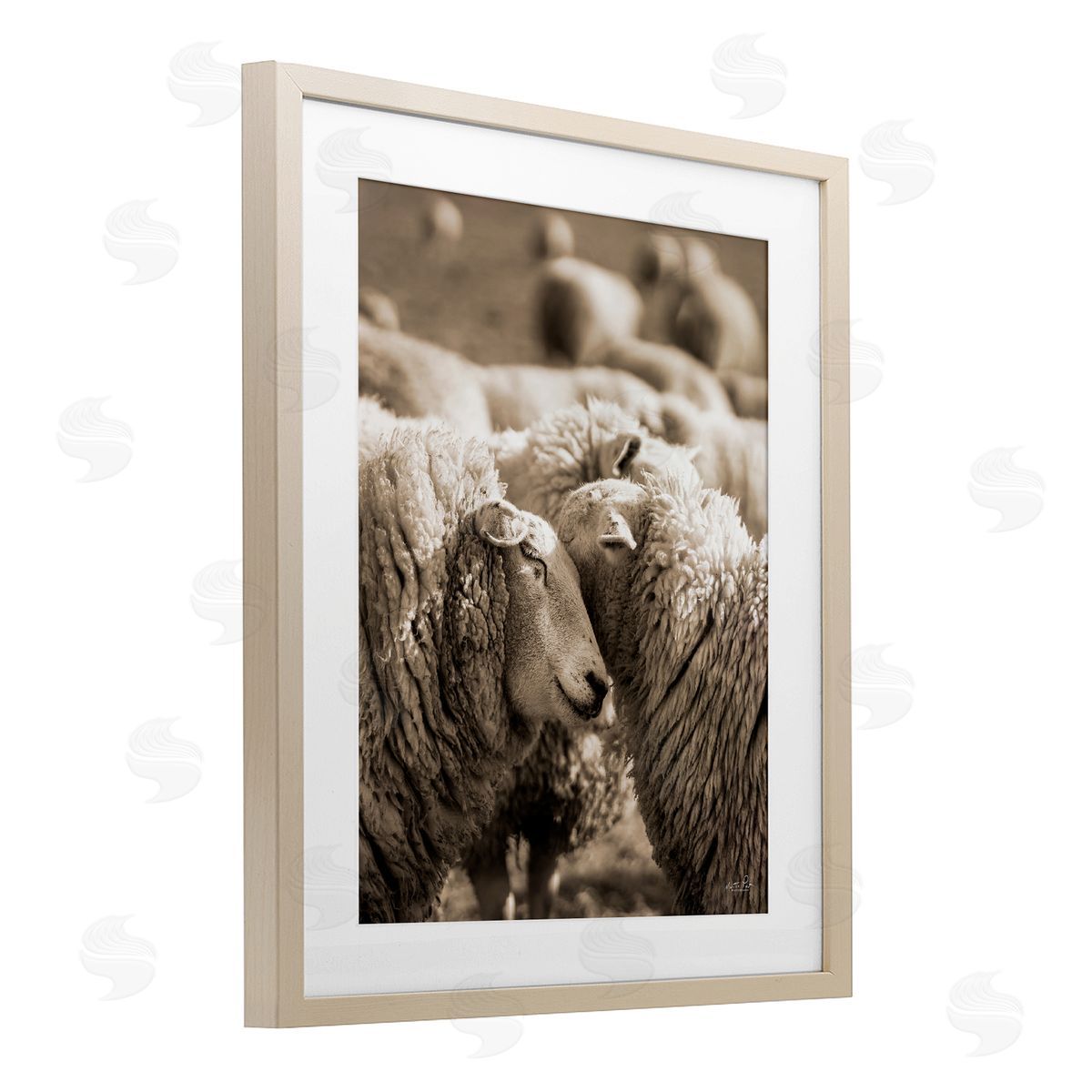 Martin Podt Hugging Sheep in Flock Birch Framed Print Under Glass with White Mat Wall Art