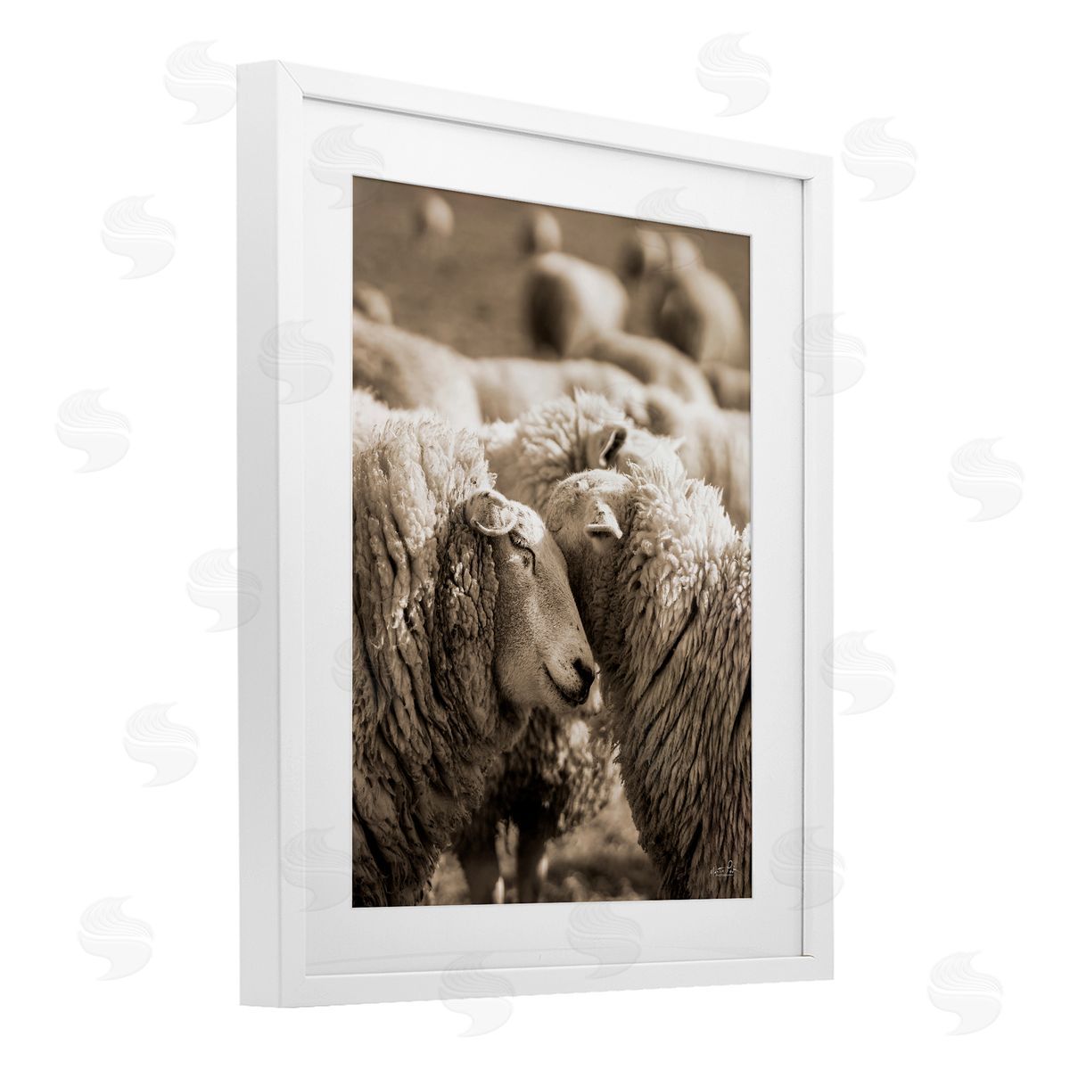 Martin Podt Hugging Sheep in Flock White Framed Print Under Glass with Mat Wall Art