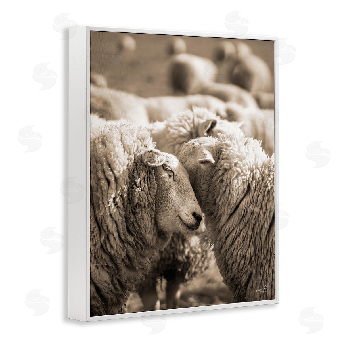 Martin Podt Hugging Sheep in Flock White Framed Giclee Wall Art Print