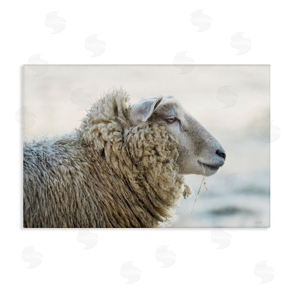 Martin Podt Deep Thoughts Sheep Portrait Canvas Wall Art Print