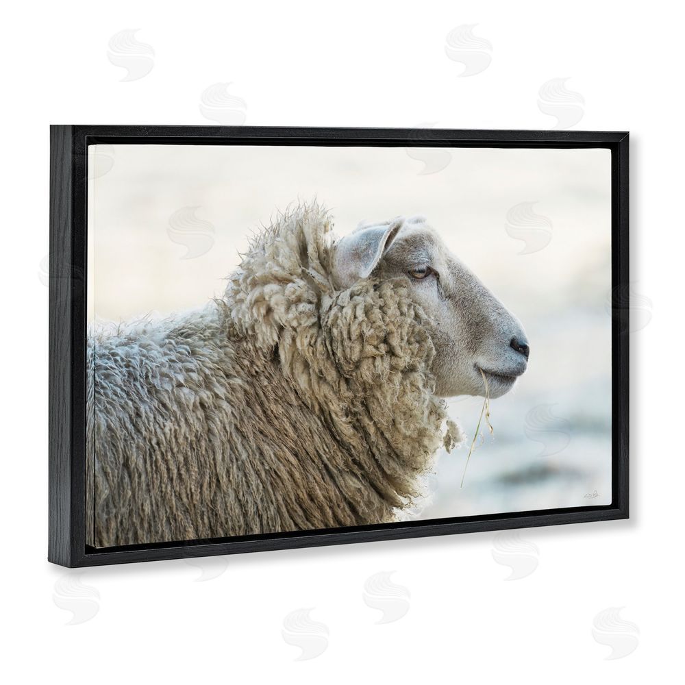 Martin Podt Deep Thoughts Sheep Portrait Black Floating Frame Canvas Wall Art Print