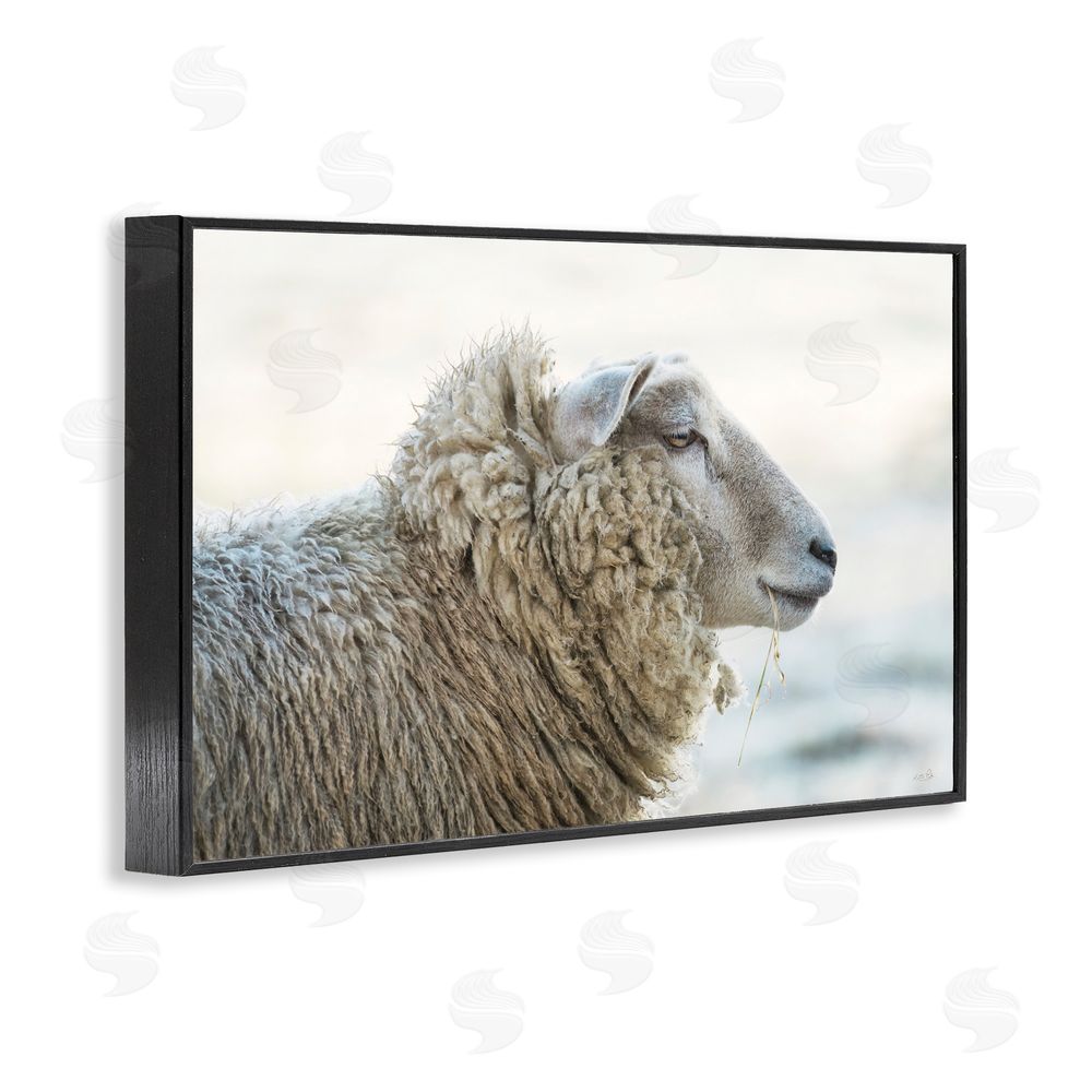 Martin Podt Deep Thoughts Sheep Portrait Black Framed Giclee Wall Art Print