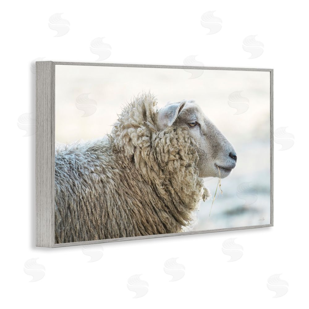 Martin Podt Deep Thoughts Sheep Portrait Gray Framed Giclee Wall Art Print